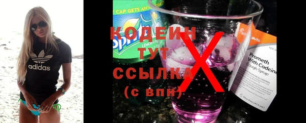 прущий лед Алзамай