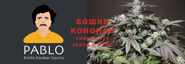 спиды Новодвинск