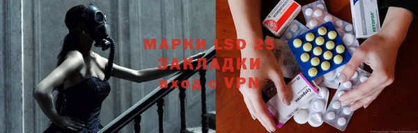 амф Новозыбков