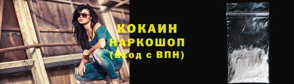 прущий лед Алзамай