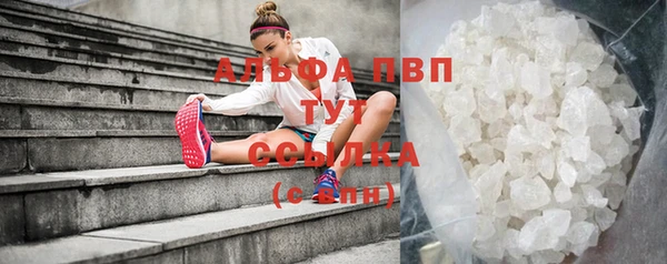 амф Новозыбков