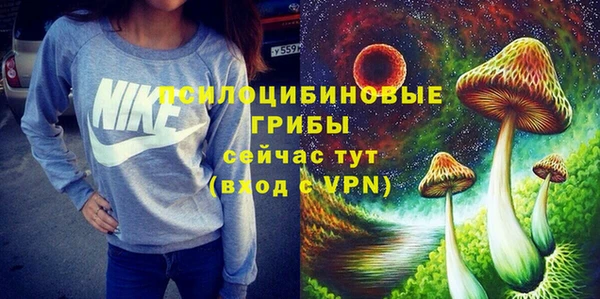 прущий лед Алзамай